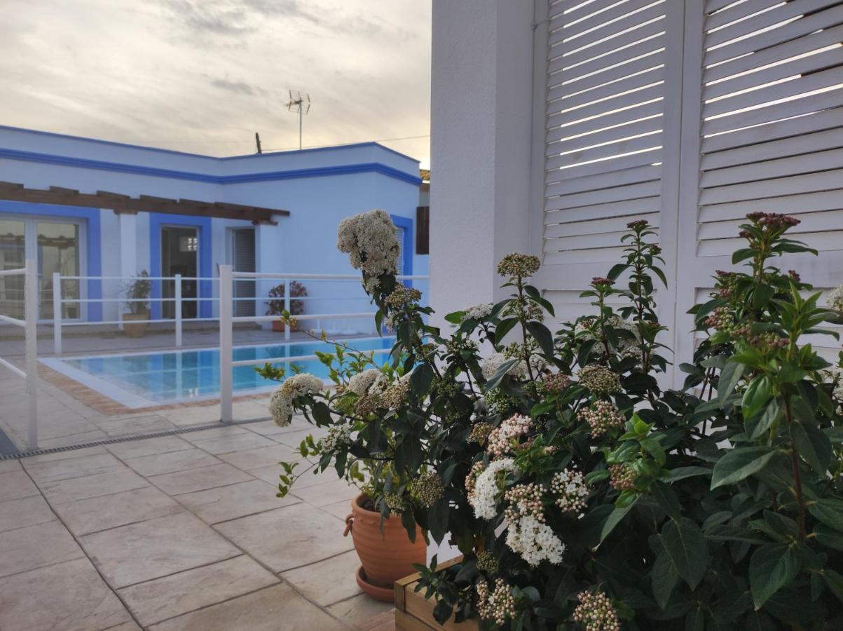 Apartamentos Atenea Jerte Bagian luar foto